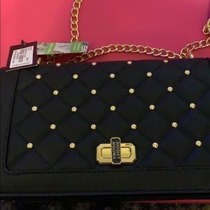 Badgley Mischka crossbody purse